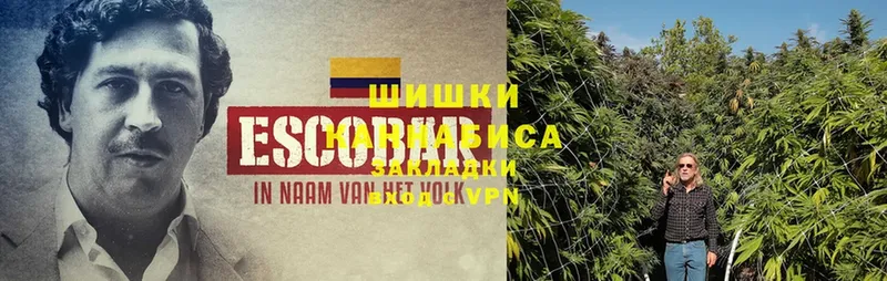 купить   Горняк  Конопля Ganja 